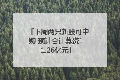 下周两只新股可申购 预计合计募资11.26亿元