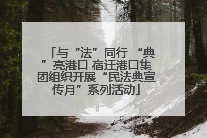 与“法”同行 “典”亮港口 宿迁港口集团组织开展“民法典宣传月”系列活动