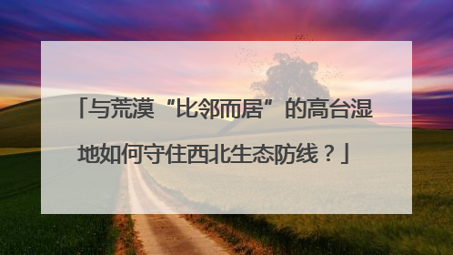 与荒漠“比邻而居”的高台湿地如何守住西北生态防线？