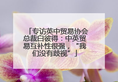 专访英中贸易协会总裁白彼得：中英贸易互补性很强，“我们没有歧视”