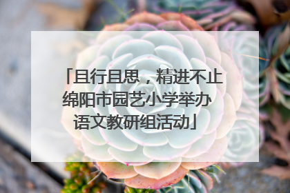 且行且思，精进不止 绵阳市园艺小学举办语文教研组活动