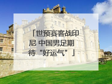 世预赛客战印尼 中国男足期待“好运气”