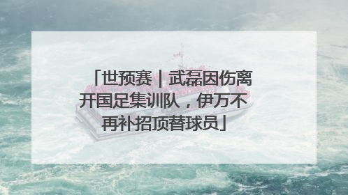 世预赛｜武磊因伤离开国足集训队，伊万不再补招顶替球员