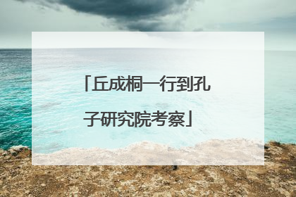 丘成桐一行到孔子研究院考察