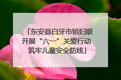 东安县白牙市镇妇联开展“六一”关爱行动 筑牢儿童安全防线
