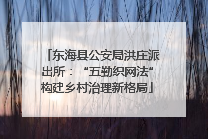 东海县公安局洪庄派出所：“五勤织网法”构建乡村治理新格局