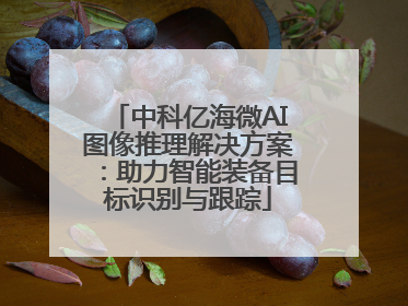 中科亿海微AI图像推理解决方案：助力智能装备目标识别与跟踪
