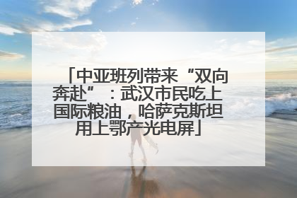 中亚班列带来“双向奔赴”：武汉市民吃上国际粮油，哈萨克斯坦用上鄂产光电屏