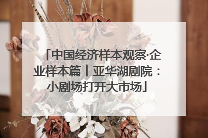 中国经济样本观察·企业样本篇︱亚华湖剧院：小剧场打开大市场
