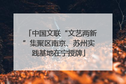 中国文联“文艺两新”集聚区南京、苏州实践基地在宁授牌