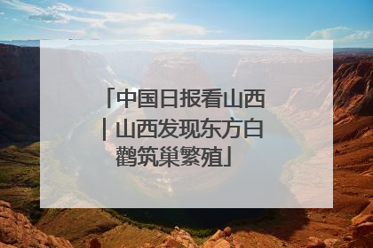 中国日报看山西｜山西发现东方白鹳筑巢繁殖