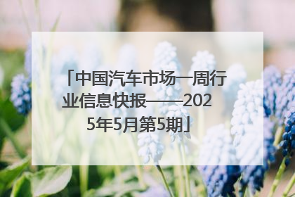 中国汽车市场一周行业信息快报——2025年5月第5期