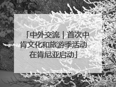 中外交流｜首次中肯文化和旅游季活动在肯尼亚启动