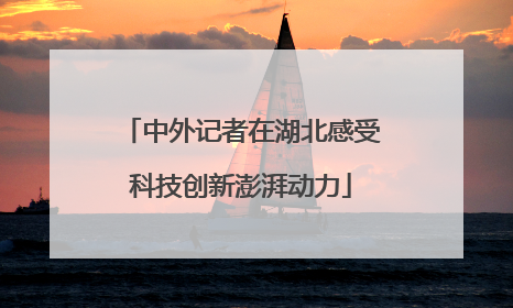 中外记者在湖北感受科技创新澎湃动力