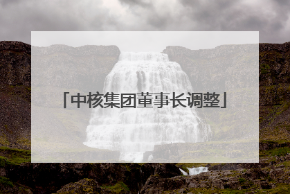 中核集团董事长调整