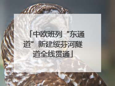 中欧班列“东通道”新建绥芬河隧道全线贯通