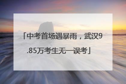 中考首场遇暴雨，武汉9.85万考生无一误考