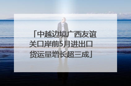 中越边境广西友谊关口岸前5月进出口货运量增长超三成