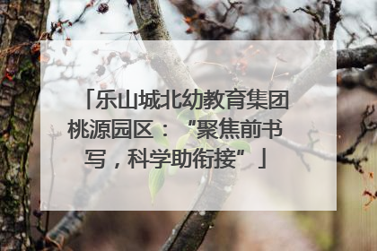 乐山城北幼教育集团桃源园区：“聚焦前书写，科学助衔接”