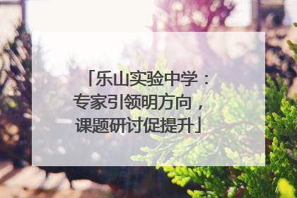 乐山实验中学：专家引领明方向，课题研讨促提升