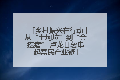 乡村振兴在行动丨从“土坷垃”到“金疙瘩” 卢龙甘薯串起富民产业链