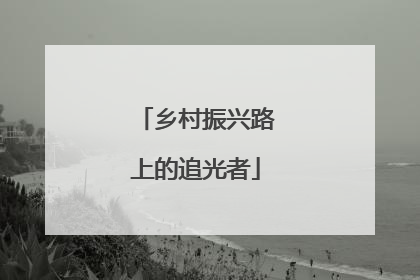 乡村振兴路上的追光者