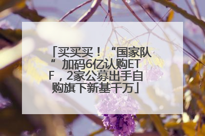 买买买！“国家队”加码6亿认购ETF，2家公募出手自购旗下新基千万