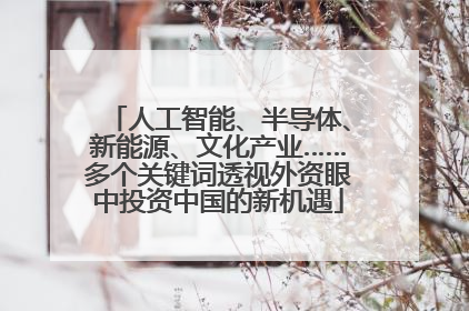 人工智能、半导体、新能源、文化产业……多个关键词透视外资眼中投资中国的新机遇