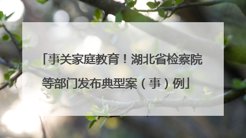 事关家庭教育！湖北省检察院等部门发布典型案（事）例