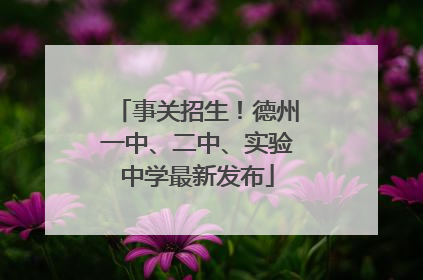 事关招生！德州一中、二中、实验中学最新发布