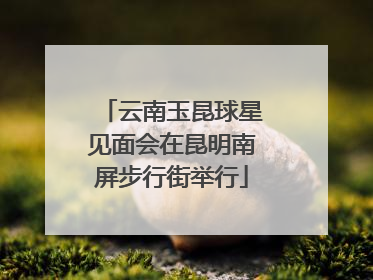 云南玉昆球星见面会在昆明南屏步行街举行