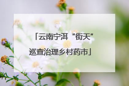 云南宁洱“街天”巡查治理乡村药市
