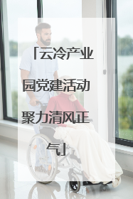 云冷产业园党建活动聚力清风正气