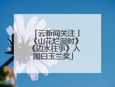 云新闻关注丨《山花烂漫时》《边水往事》入围白玉兰奖