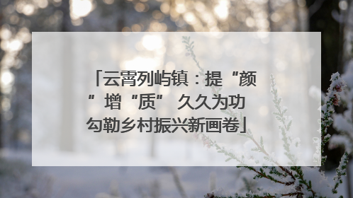 云霄列屿镇：提“颜”增“质” 久久为功勾勒乡村振兴新画卷