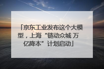 京东工业发布这个大模型，上海“链动众城 万亿降本”计划启动