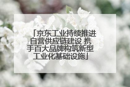 京东工业持续推进自营供应链建设 携手百大品牌构筑新型工业化基础设施
