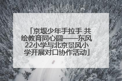 京堰少年手拉手 共绘教育同心圆——东风22小学与北京景风小学开展对口协作活动