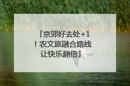 京郊好去处+1！农文旅融合路线让快乐翻倍