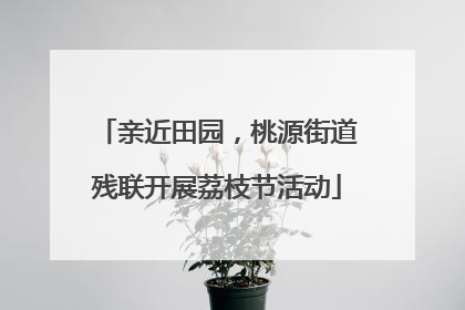 亲近田园，桃源街道残联开展荔枝节活动