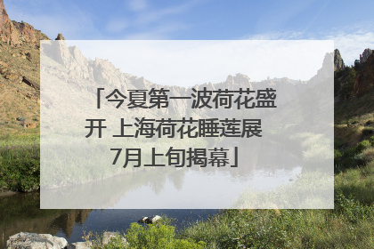 今夏第一波荷花盛开 上海荷花睡莲展7月上旬揭幕