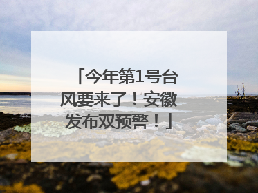 今年第1号台风要来了！安徽发布双预警！