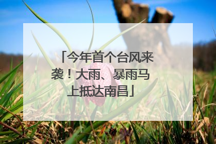 今年首个台风来袭！大雨、暴雨马上抵达南昌