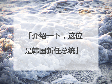 介绍一下，这位是韩国新任总统