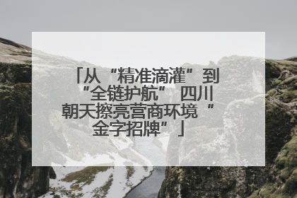 从“精准滴灌”到“全链护航” 四川朝天擦亮营商环境“金字招牌”
