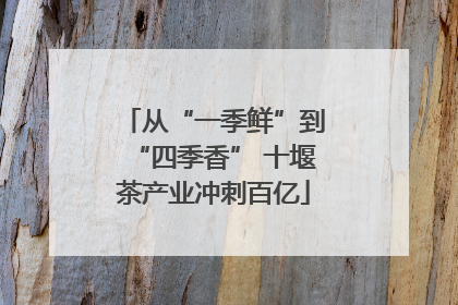 从“一季鲜”到“四季香” 十堰茶产业冲刺百亿