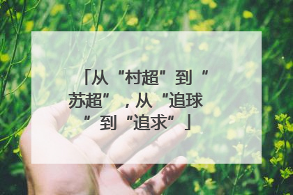 从“村超”到“苏超”，从“追球”到“追求”