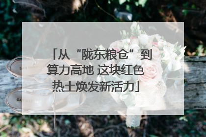 从“陇东粮仓”到算力高地 这块红色热土焕发新活力