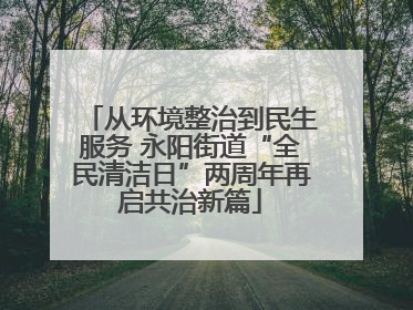 从环境整治到民生服务 永阳街道“全民清洁日”两周年再启共治新篇