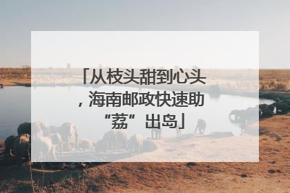 从枝头甜到心头，海南邮政快速助“荔”出岛